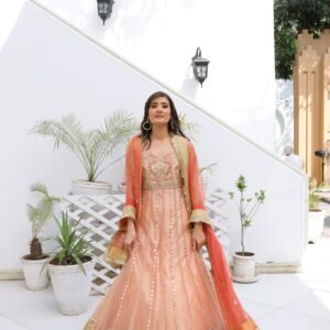 Peach net fabric maxi with full mirror work, hand embroidery, zari lining, and lace-detailed dupatta.