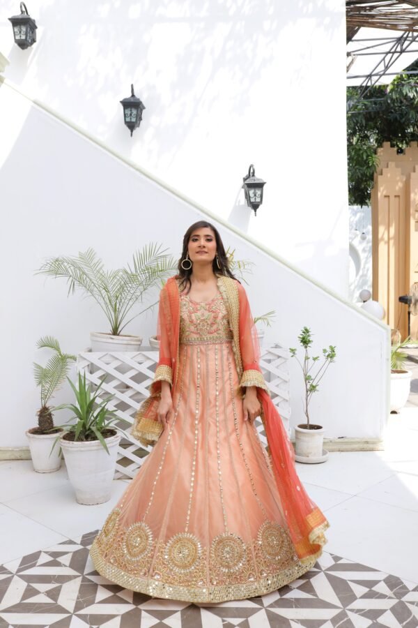 Peach net fabric maxi with full mirror work, hand embroidery, zari lining, and lace-detailed dupatta.