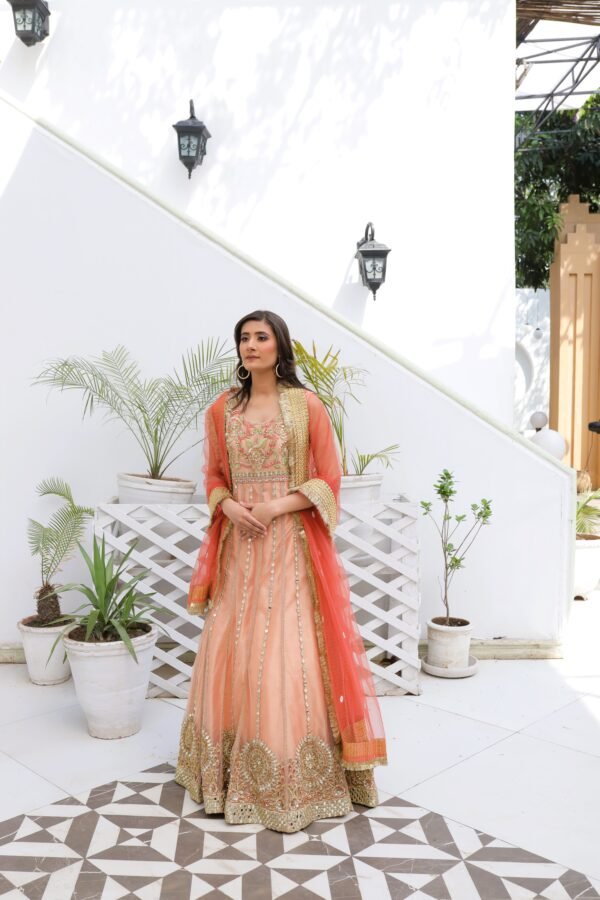 Peach net fabric maxi with full mirror work, hand embroidery, zari lining, and lace-detailed dupatta.