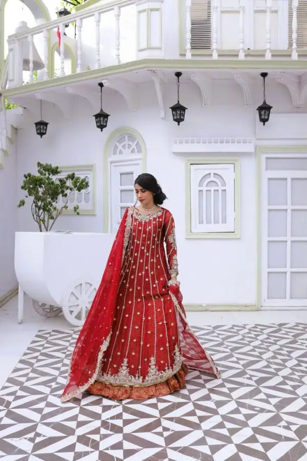 Gulnaar– Red Bridal Dress in Pure Organza - Image 5