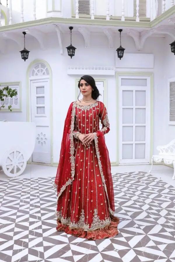 Gulnaar– Red Bridal Dress in Pure Organza