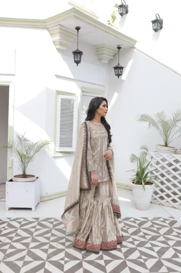 Noor-e-Zar – Handcrafted Bridal Gharara - Image 3