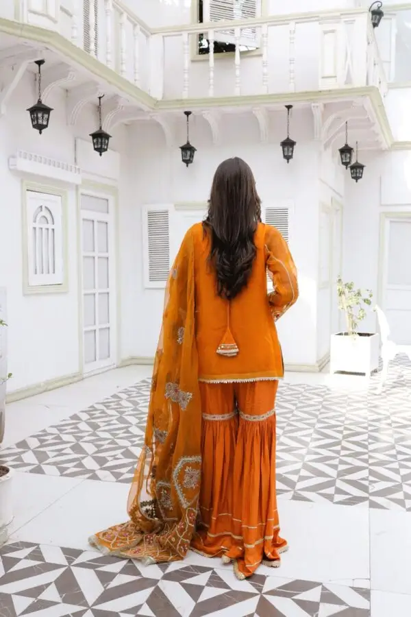 Rang-e-Hina - Image 4