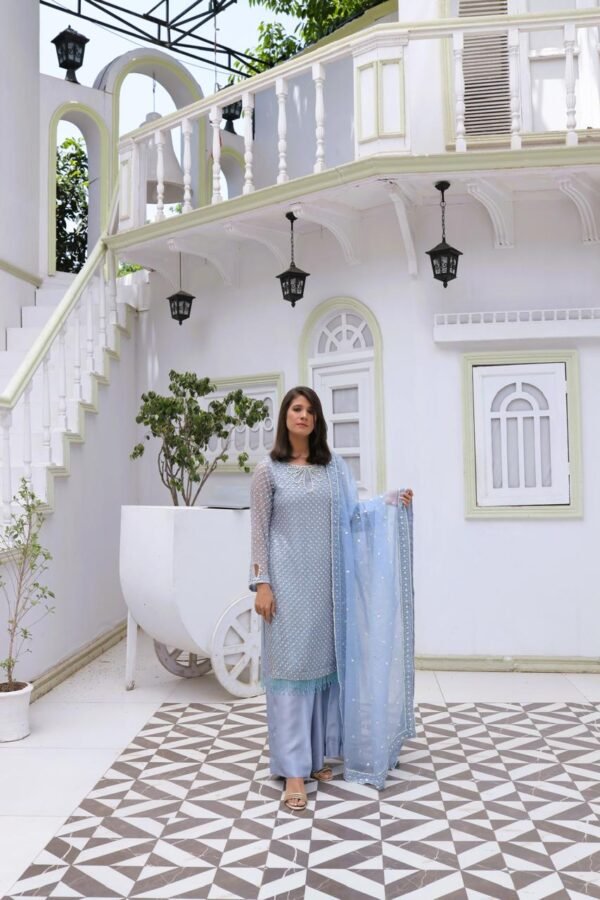 Sky Whisper-Hand-Embellished Organza Ensemble - Image 2