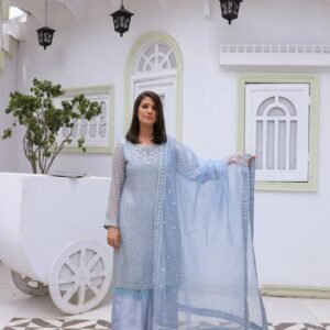 Sky Whisper-Hand-Embellished Organza Ensemble