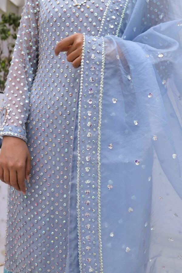 Sky Whisper-Hand-Embellished Organza Ensemble - Image 6
