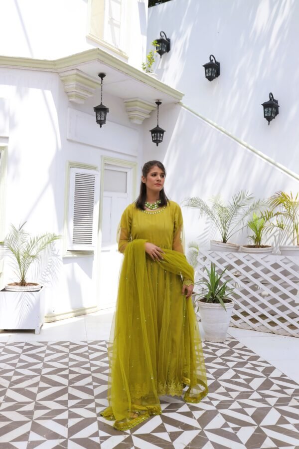Anarkali Frock